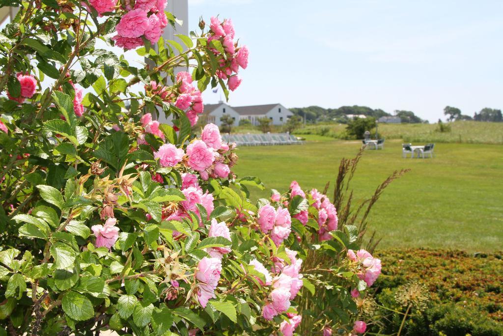 The Seaside Inn Kennebunk Esterno foto